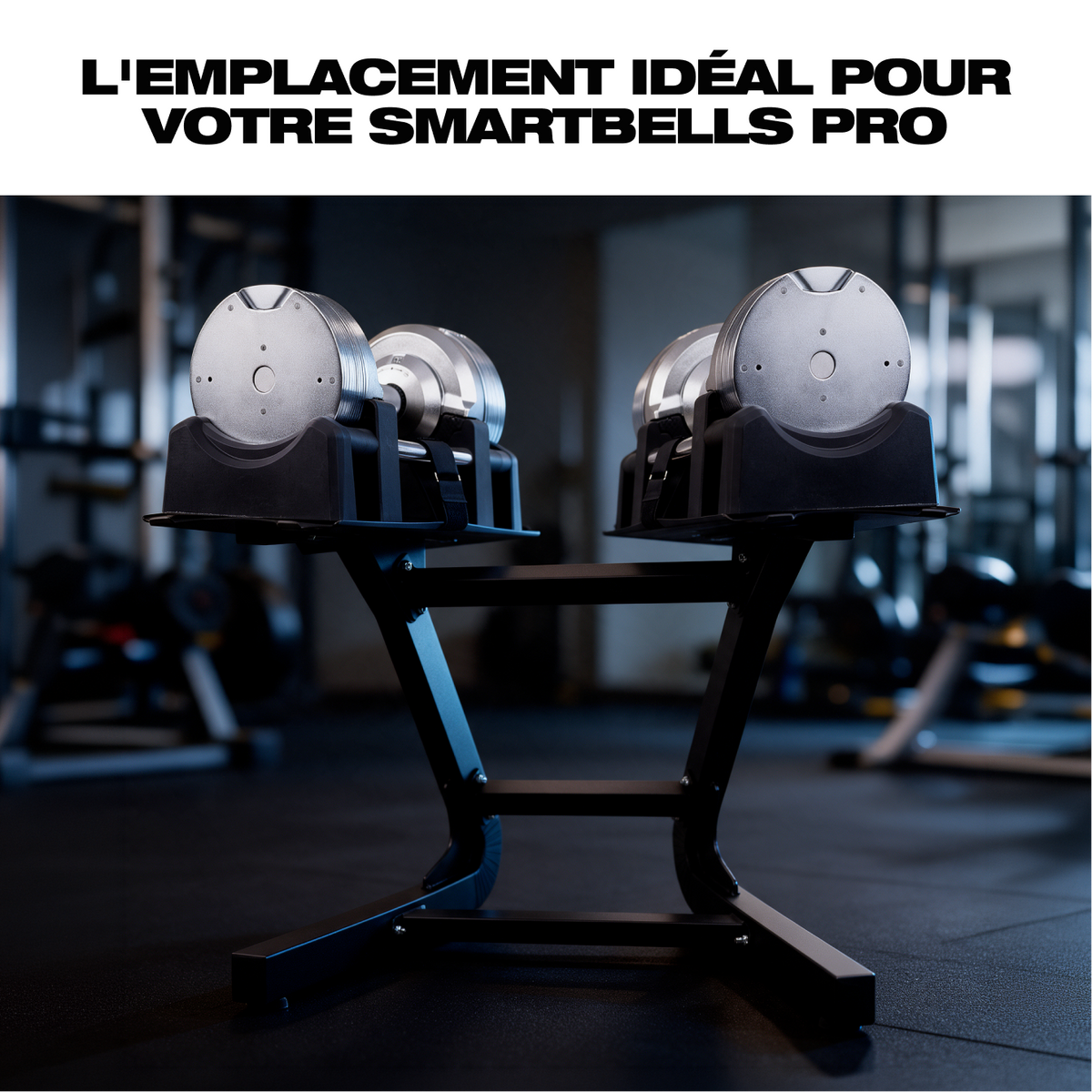 lang_fr