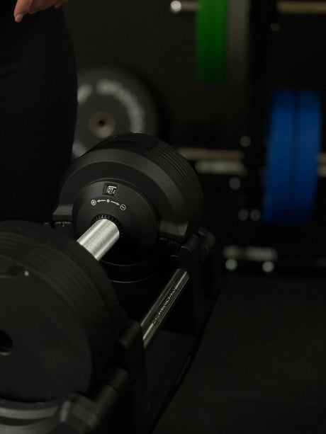 Best Exercises and Workouts with Dumbbells and a Bench