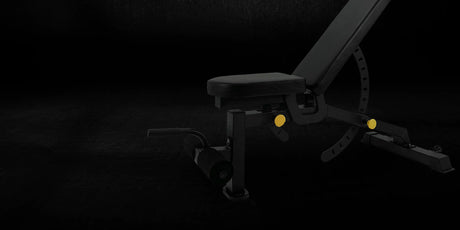Stands & Benches