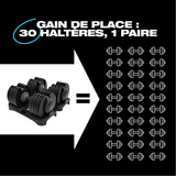 lang_fr