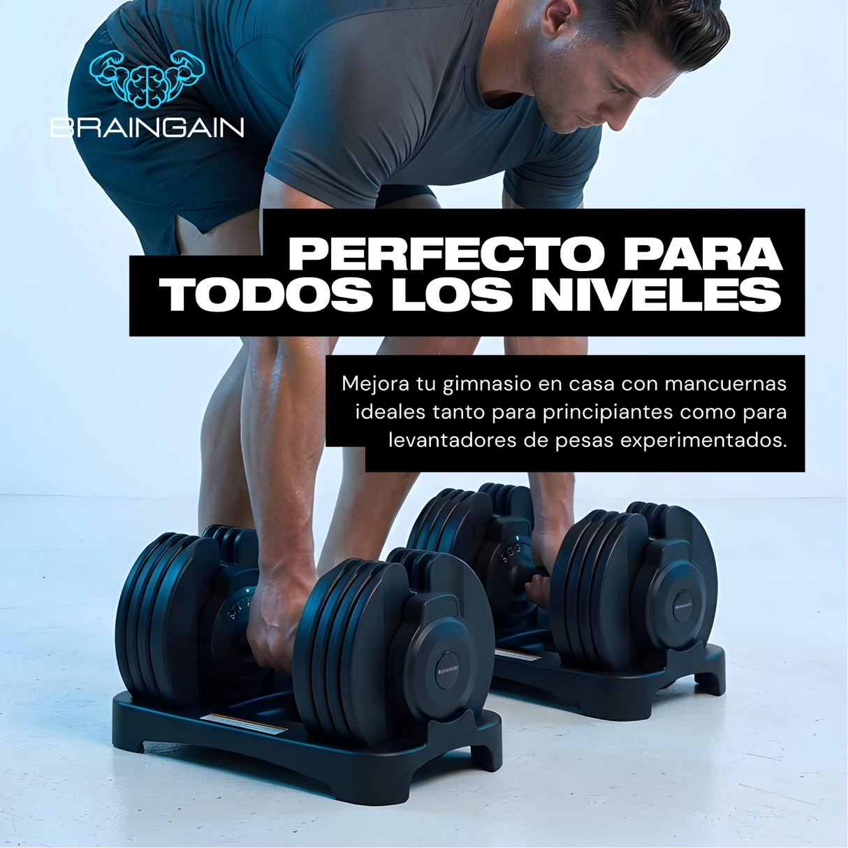lang_es