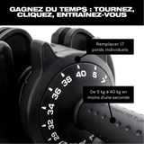 lang_fr