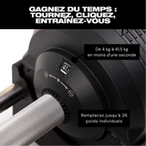 lang_fr