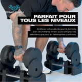 lang_fr