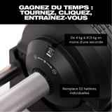 lang_fr