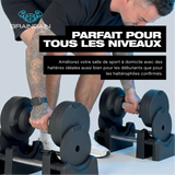 lang_fr